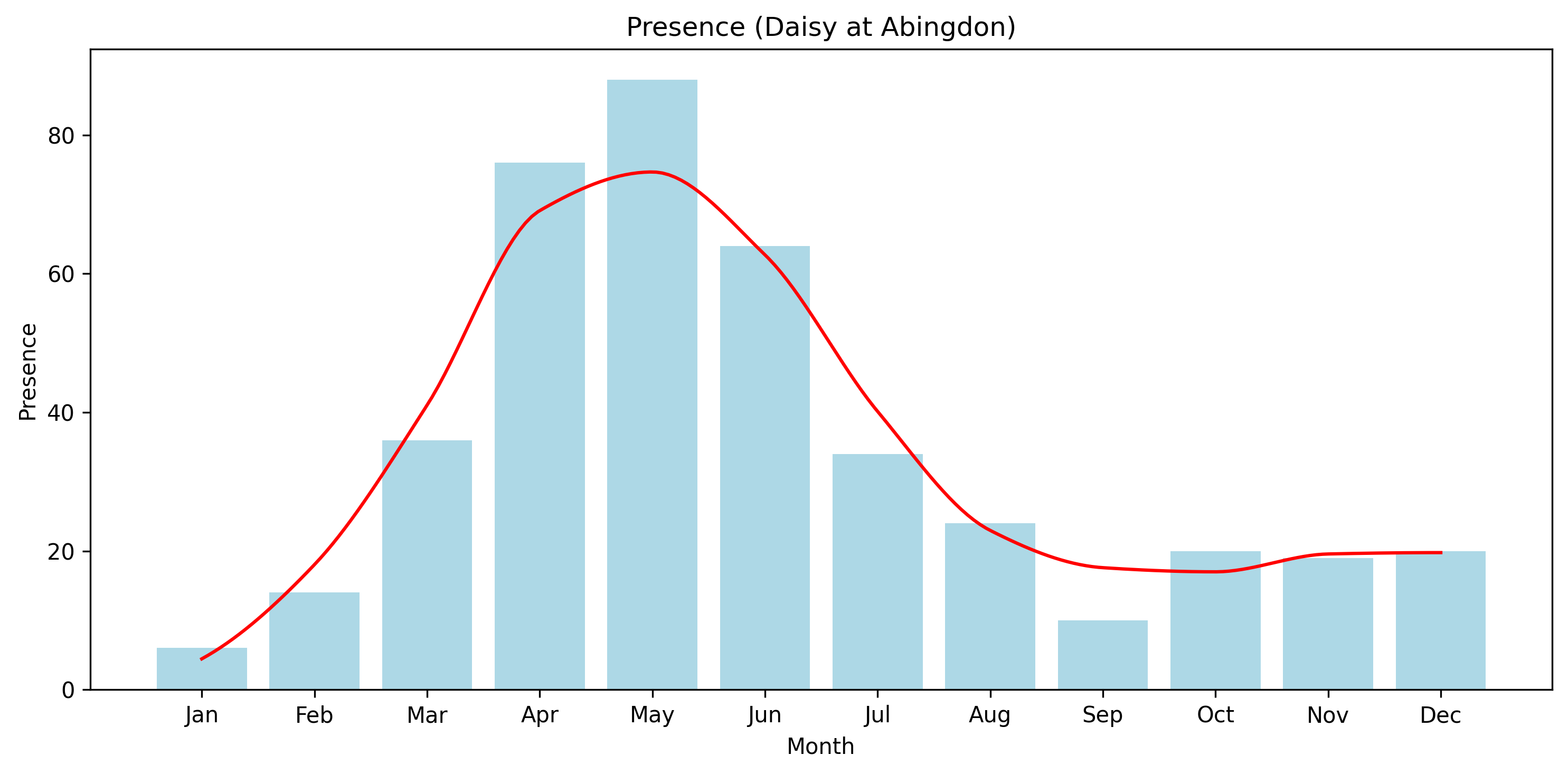 Daisy Seasonal Presence, Abingdon