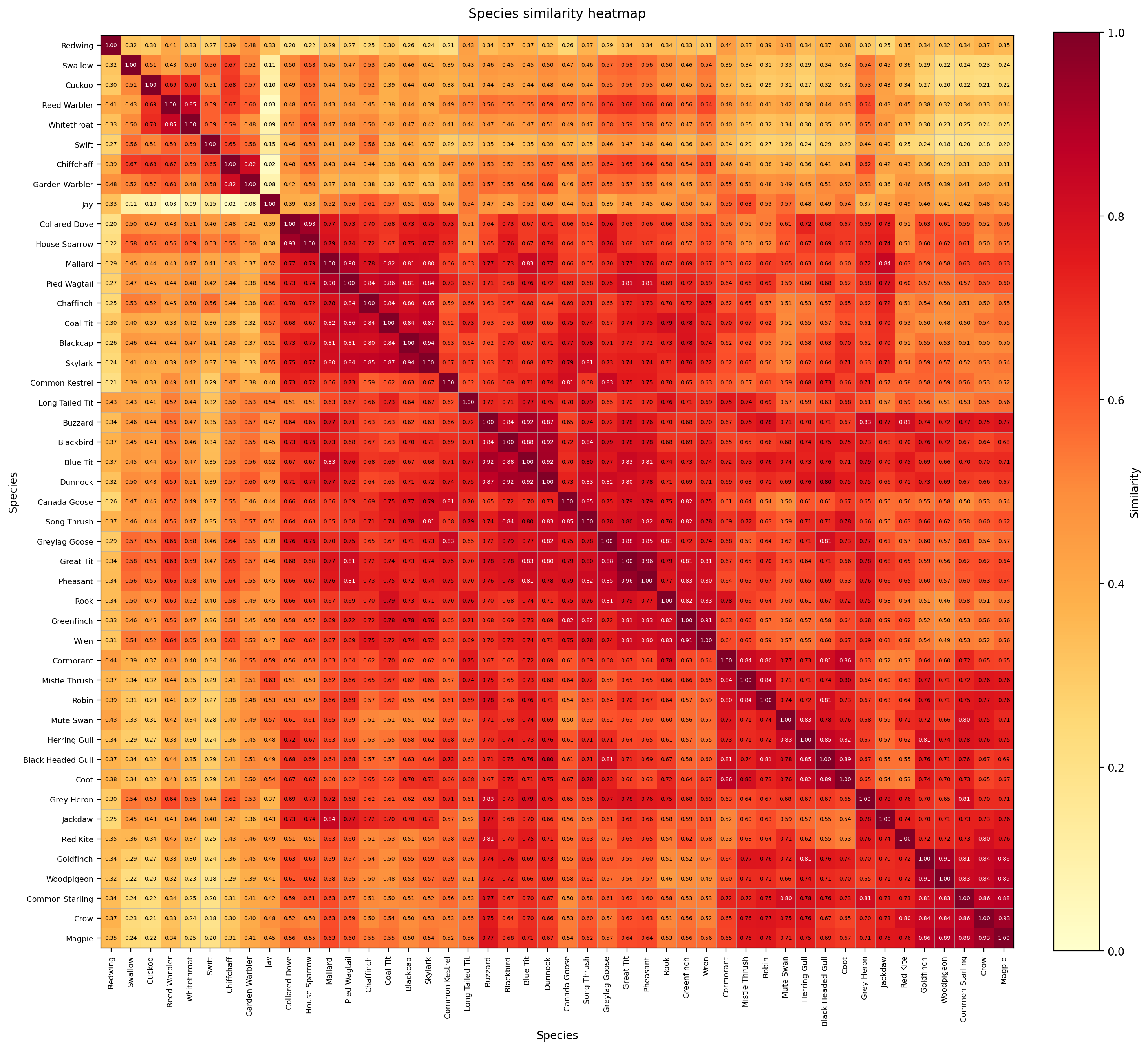 Bird Species Similarity Heatmap