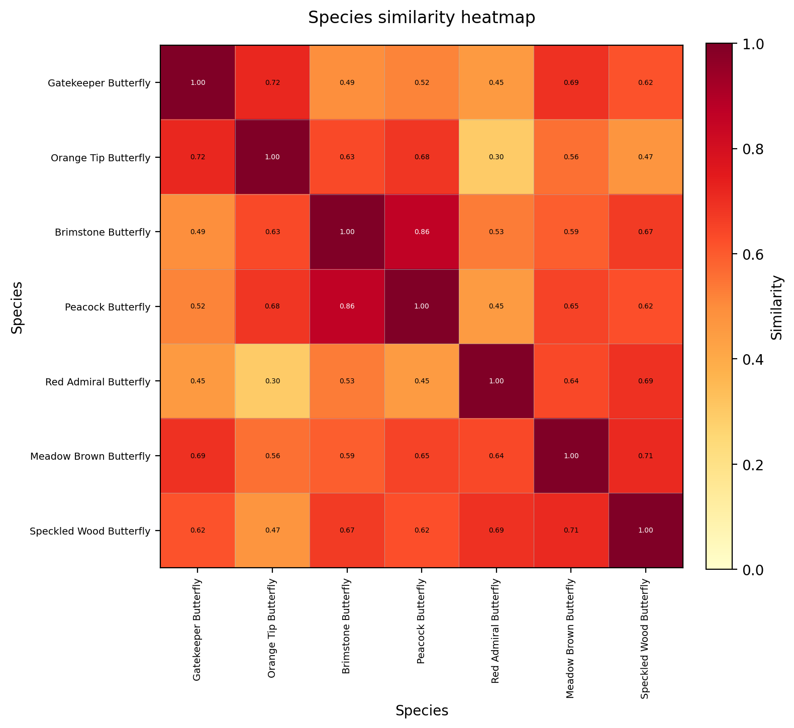 Butterfly Species Similarity Heatmap