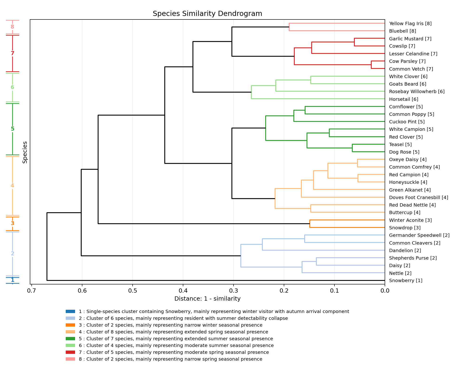 Flowering Plant Species Similarity Clustering Dendrogram