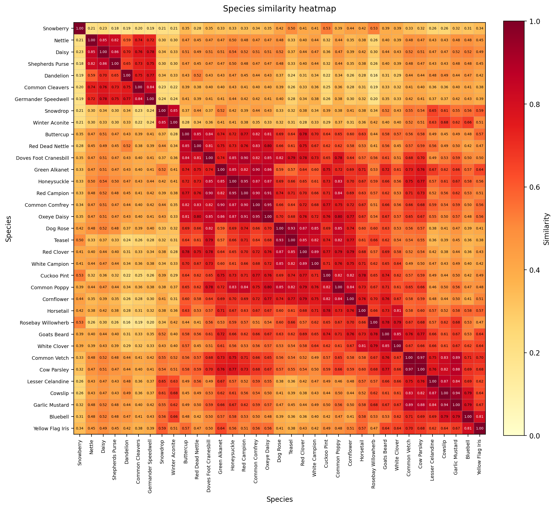 Flowering Plant Species Similarity Heatmap