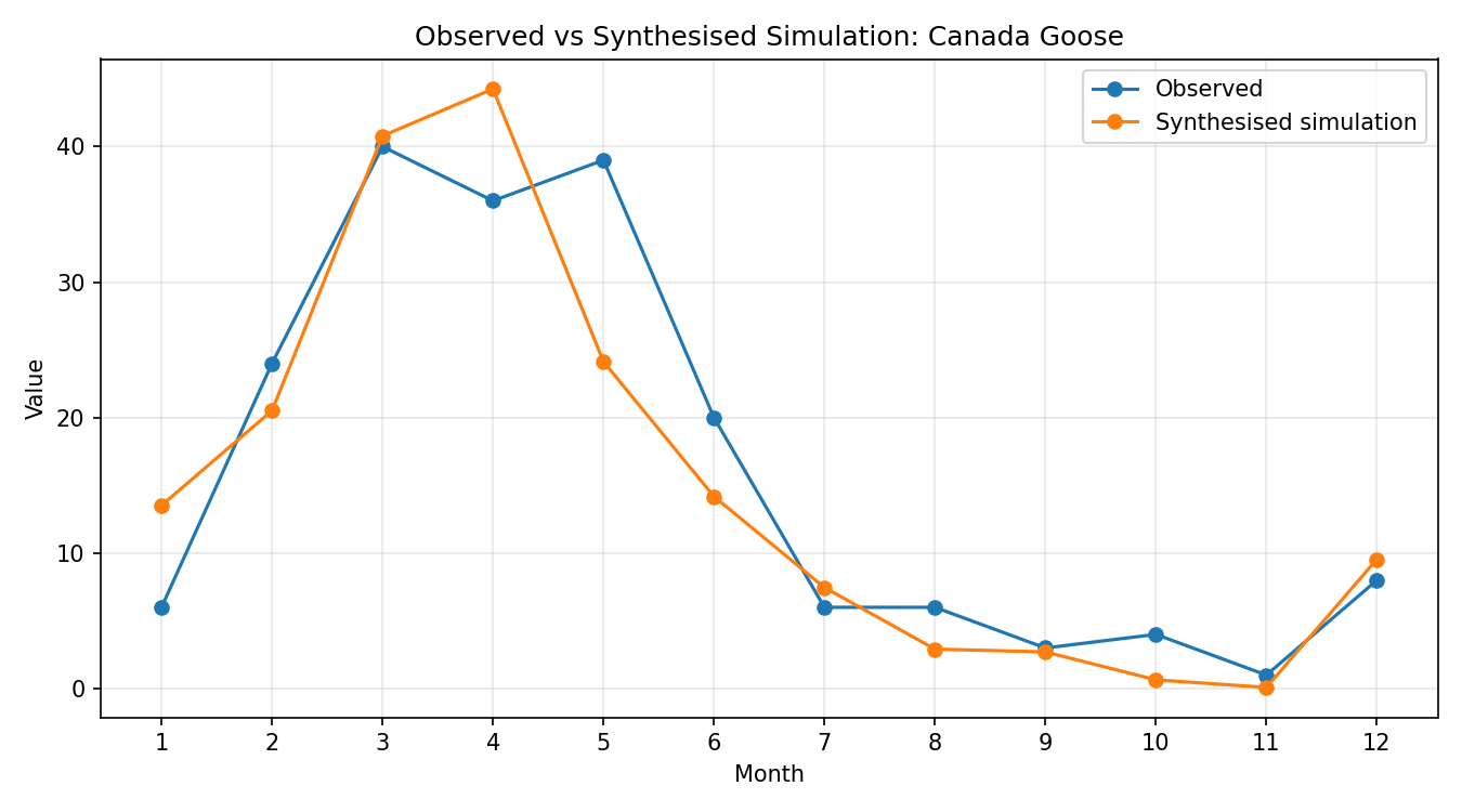 Canada Goose Simulated Presence, Abingdon