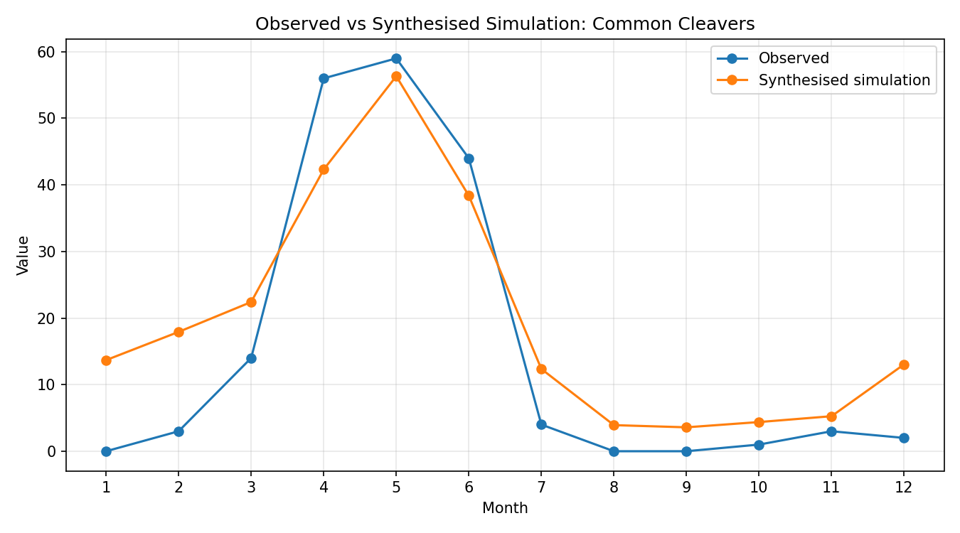 Common Cleavers Simulated Presence, Abingdon