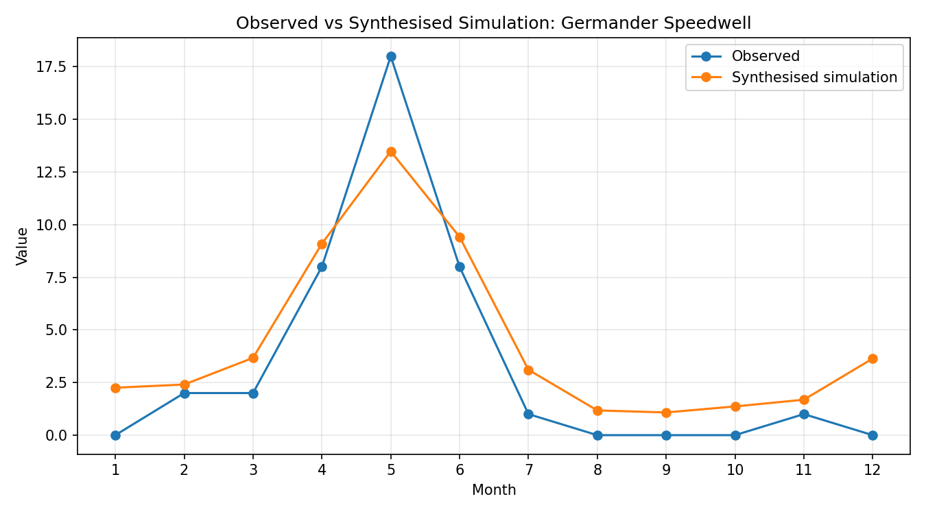 Germander Speedwell Simulated Presence, Abingdon