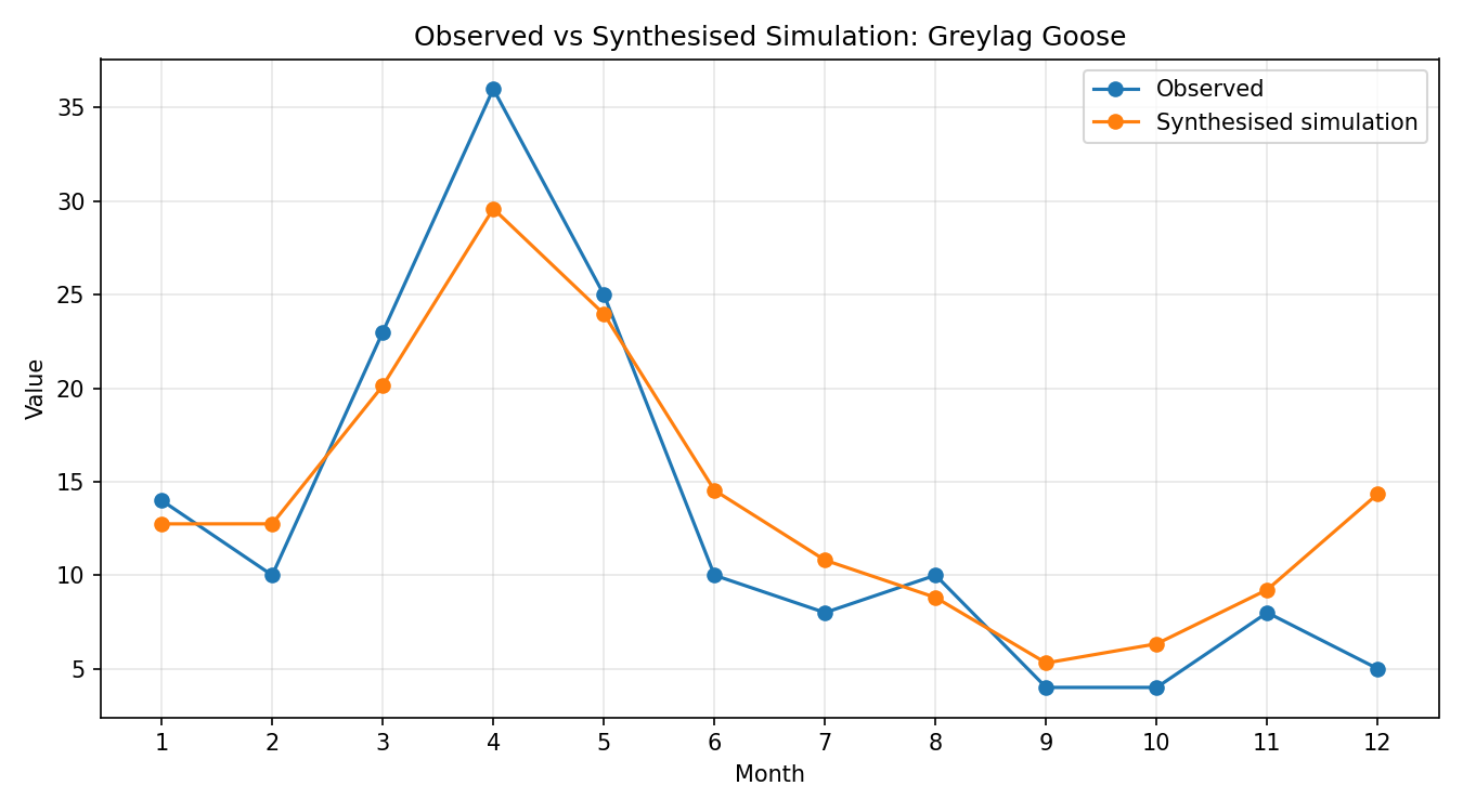 Greylag Goose Simulated Presence, Abingdon