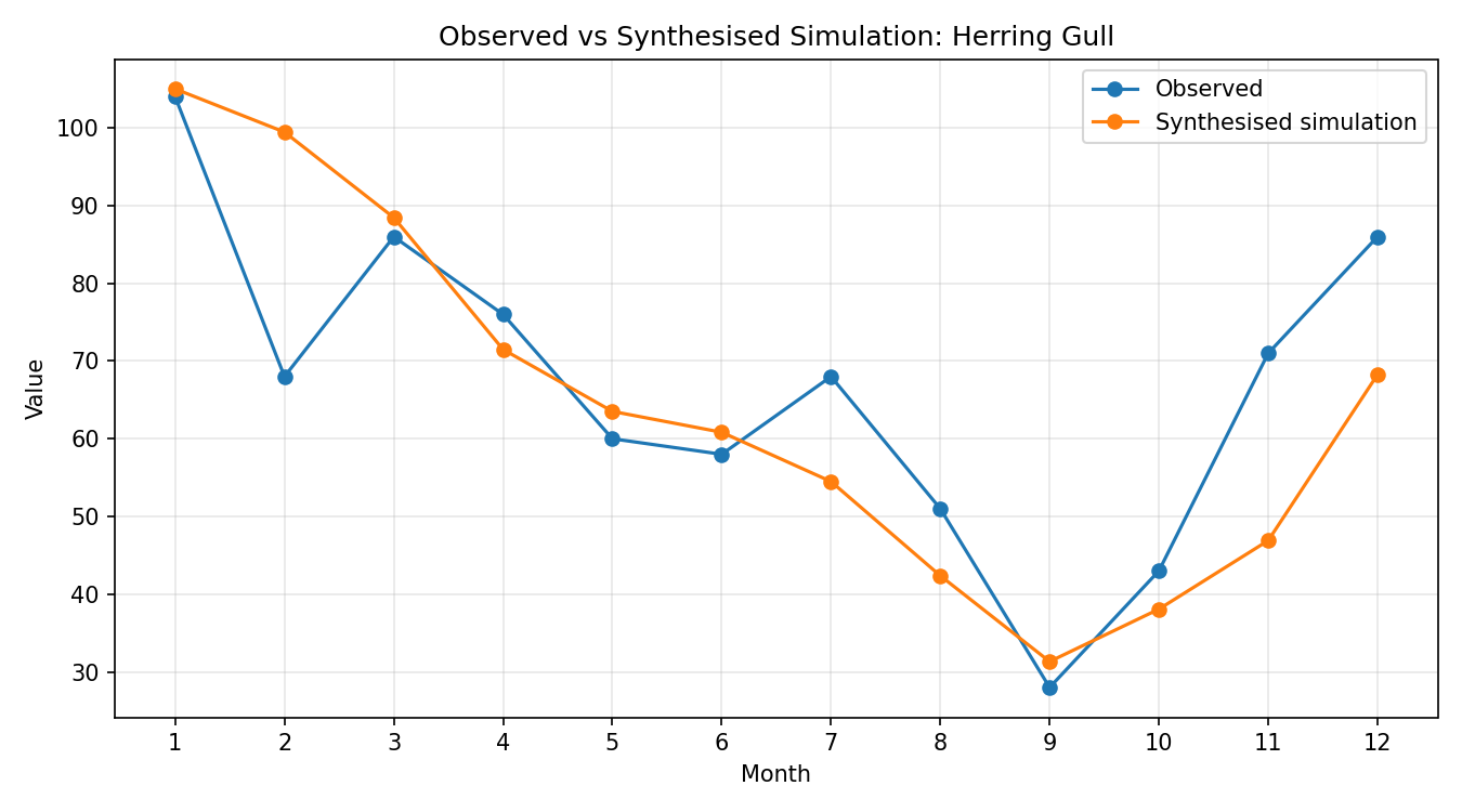 Herring Gull Simulated Presence, Abingdon