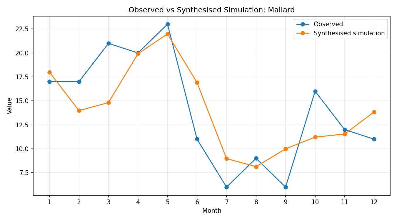 Mallard Simulated Presence, Abingdon
