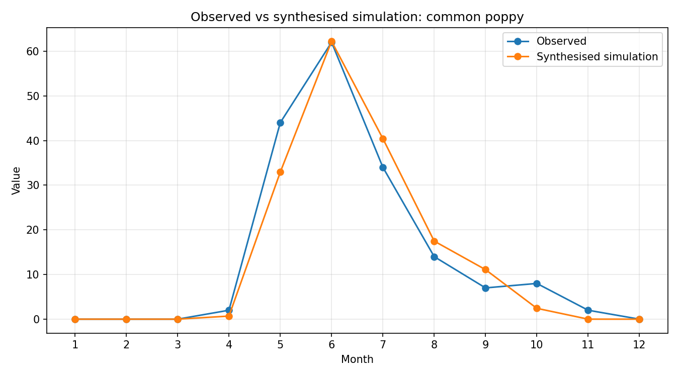 Common Poppy Simulated Presence, Abingdon