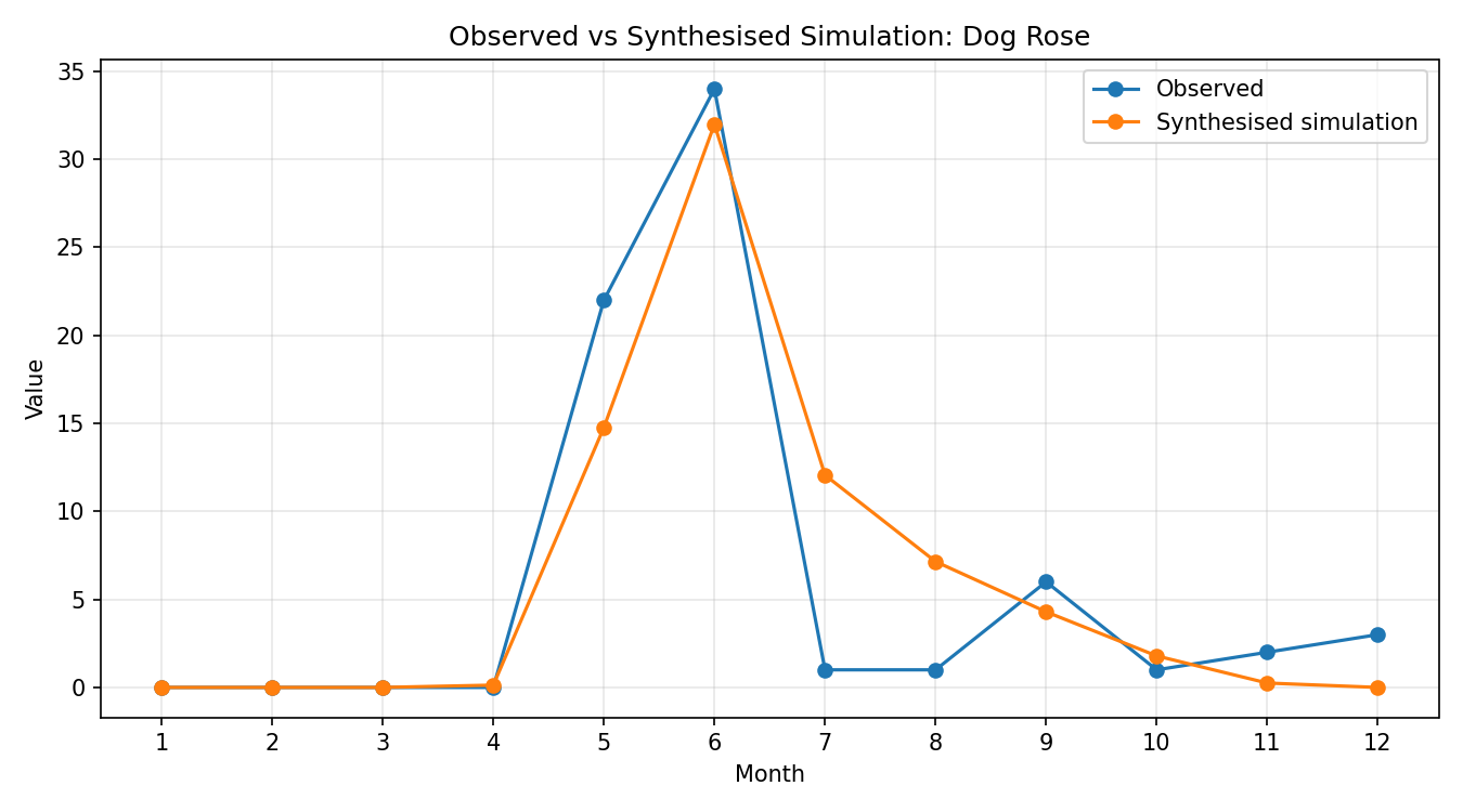 Dog Rose Simulated Presence, Abingdon