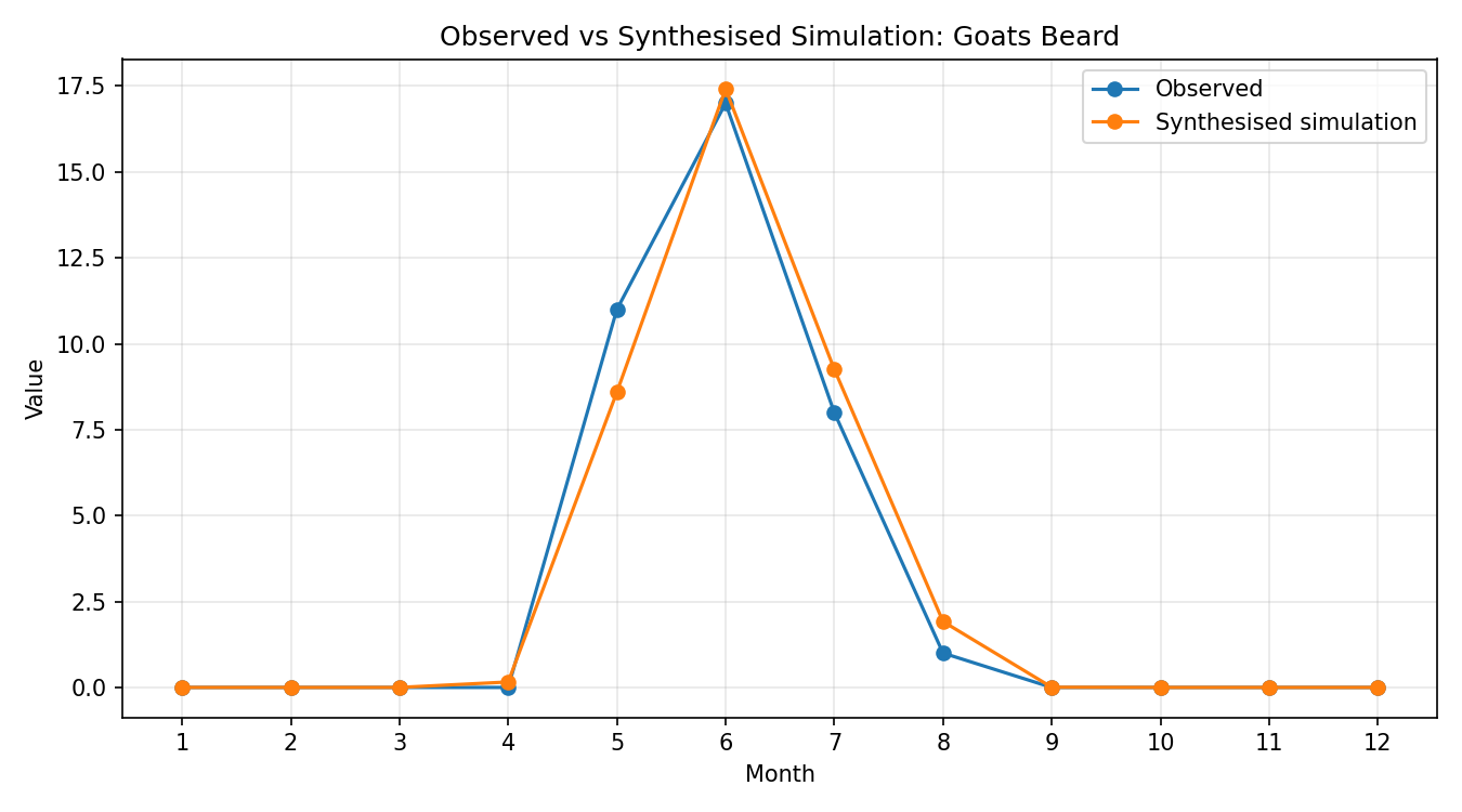 Goats Beard Simulated Presence, Abingdon