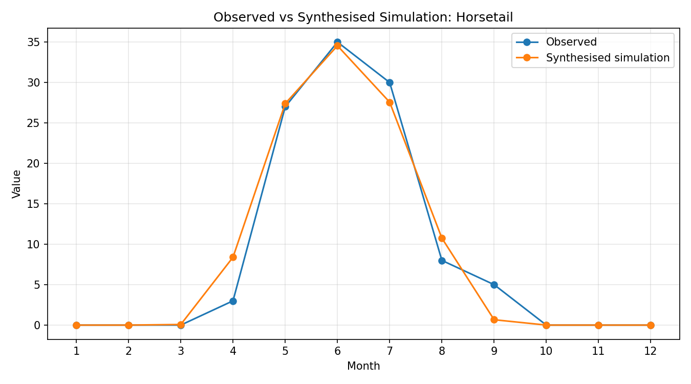 Horsetail Simulated Presence, Abingdon