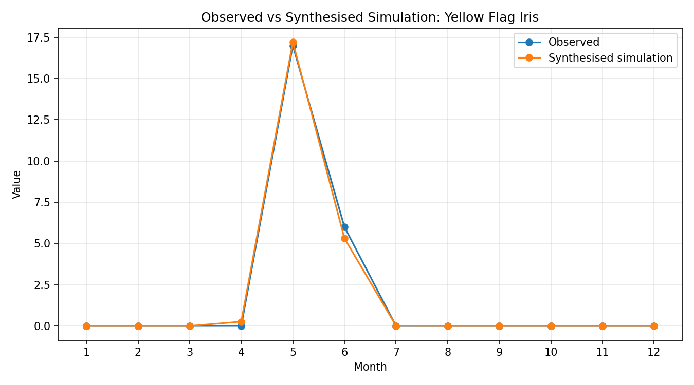 Yellow Flag Iris Simulated Presence, Abingdon