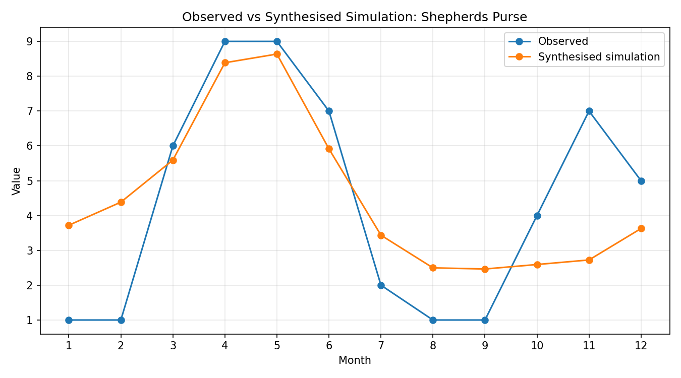 Shepherd's Purse Simulated Presence, Abingdon
