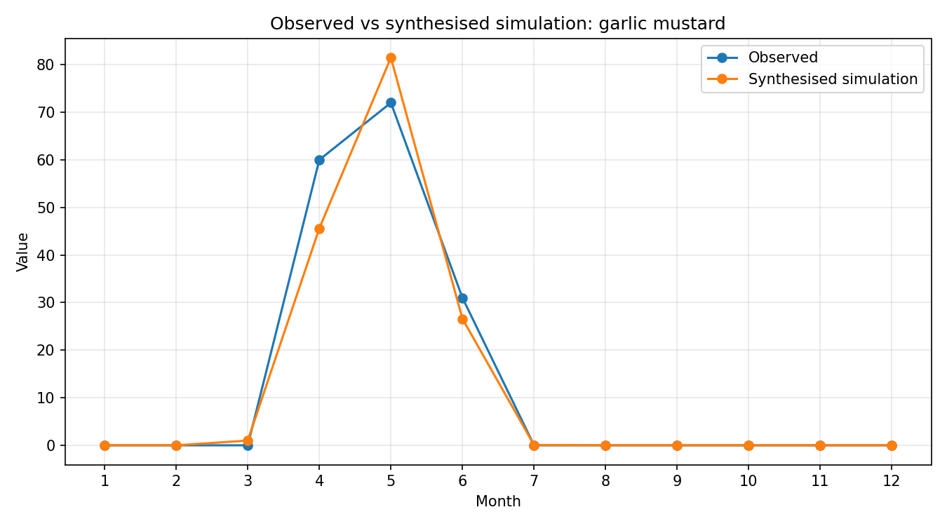 Garlic Mustard Simulated Presence, Abingdon