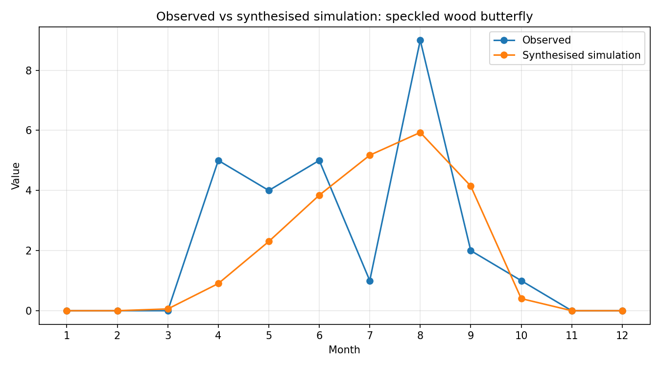 Speckled Wood Butterfly Simulated Presence, Abingdon