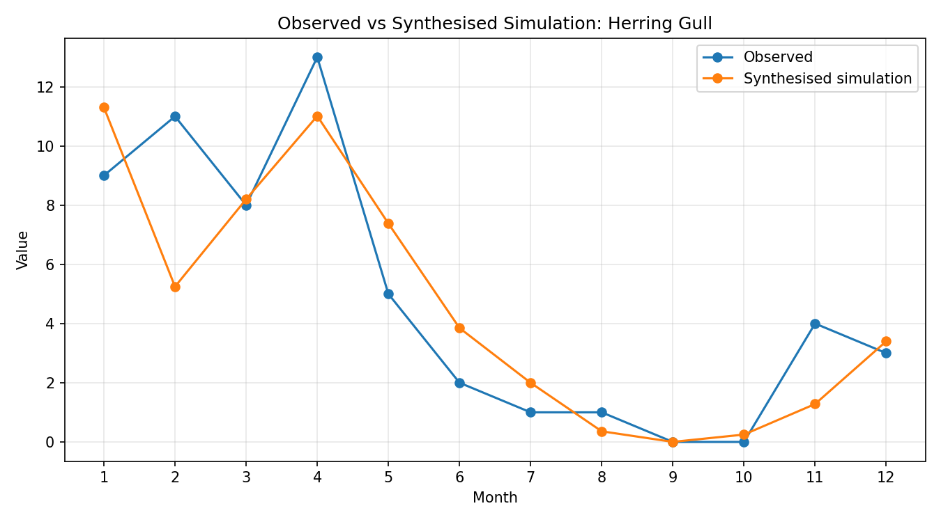 Herring Gull Simulated Presence, Thrupp Lake
