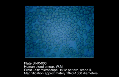 SI-IX-004.png – Human Blood Smear, W.M.