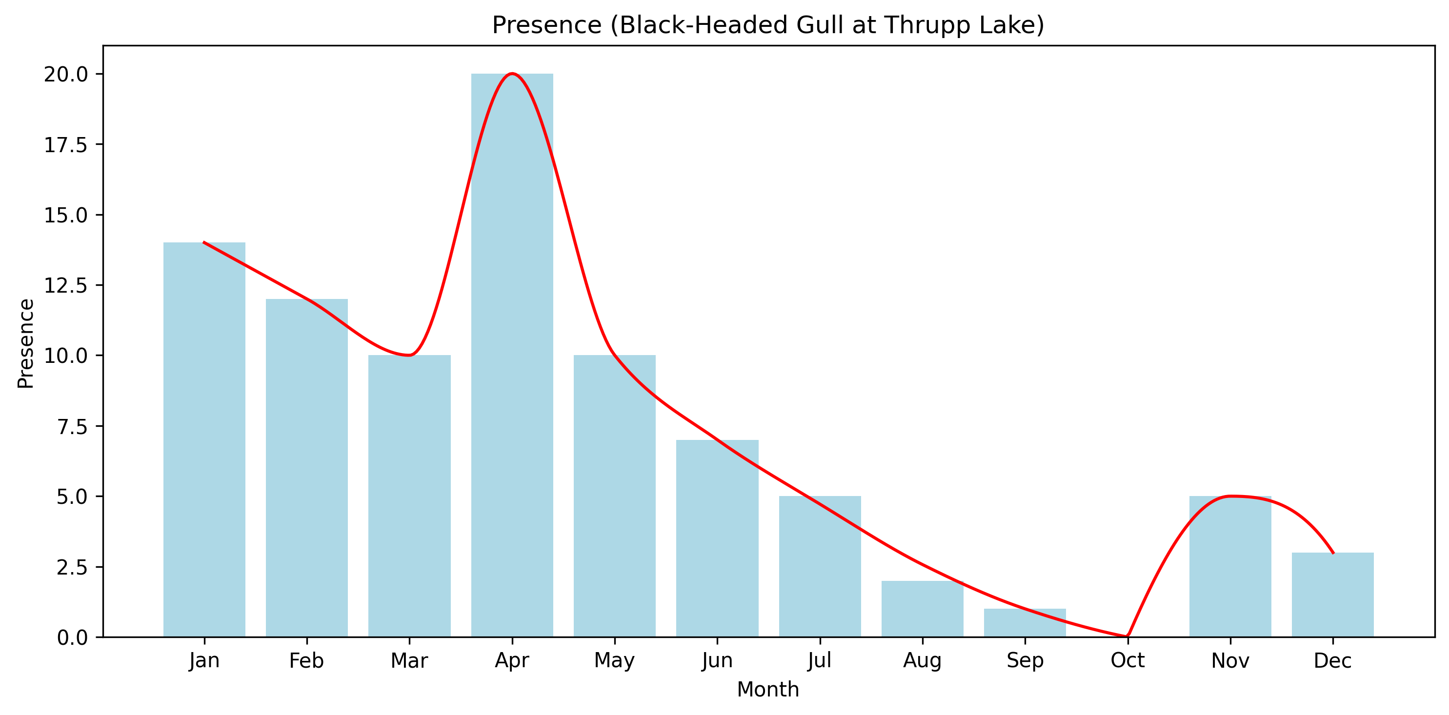 Black-Headed Gull Observed Presence, Thrupp Lake