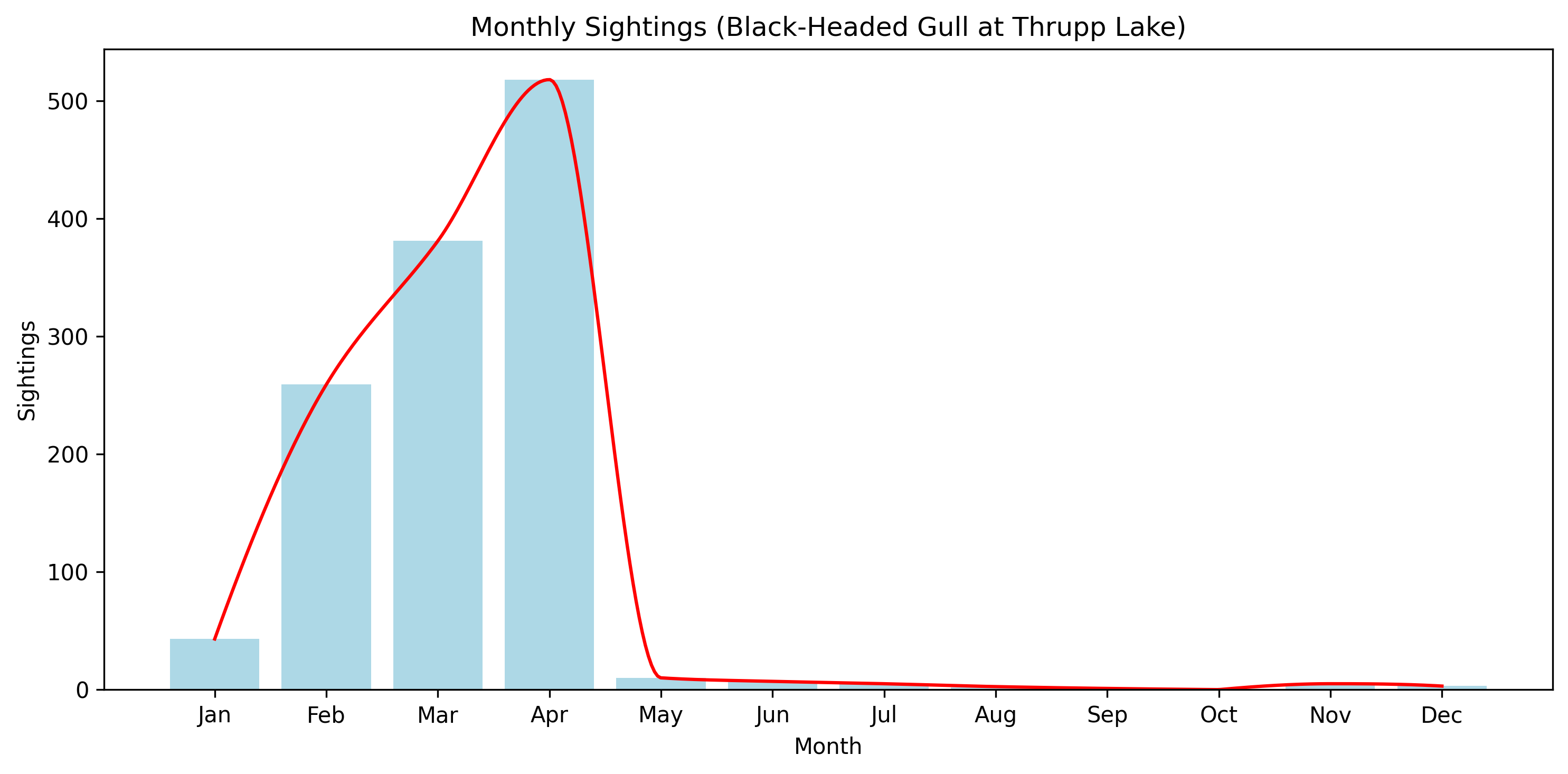 Black-Headed Gull Observed Totals, Thrupp Lake